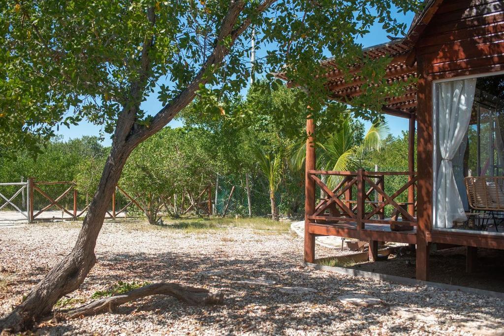 Casa Calamar Isla Holbox Luaran gambar